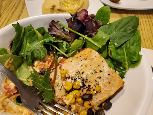 Photo of Olive Tree Cafe, Bettendorf - 2513 53rd Ave, Bettendorf, IA 52722