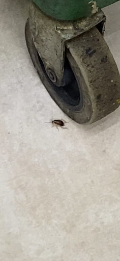 Photo of Algha Restaurant - 25940 Ford Rd, Dearborn Heights, MI 48127