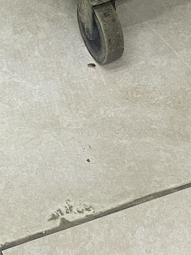 Photo of Algha Restaurant - 25940 Ford Rd, Dearborn Heights, MI 48127