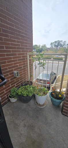 Photo of Mango Grill - 11205 John F Kennedy Dr #201, Hagerstown, MD 21742