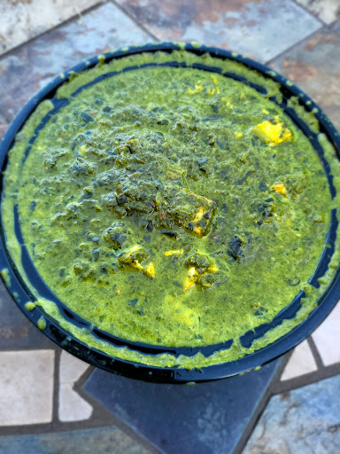 Photo of Mango Grill - 11205 John F Kennedy Dr #201, Hagerstown, MD 21742