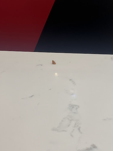 Photo of Shawarma Gyro Xpress - 2329 S Eads St, Arlington, VA 22202