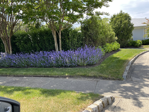 Photo of Mazza and More - 308 Main St, Allenhurst, NJ 07711