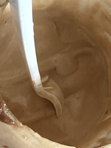 Photo of Friendly's Cafe - 291 E Main St, Westfield, MA 01085