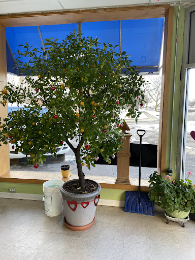 Photo of Beirut Bakery - 25706 Schoolcraft Rd, Redford Township, MI 48239