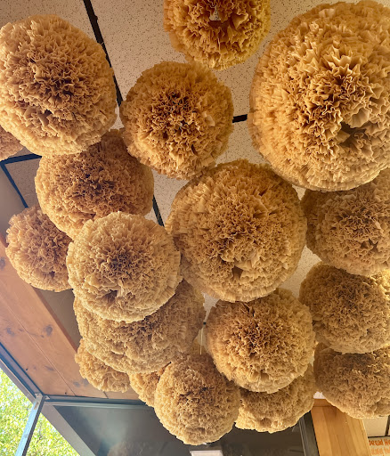 Photo of The Falafel Place - 204 Mamaroneck Ave, White Plains, NY 10601