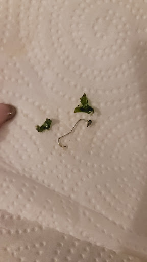 Photo of Chop & Go - 258 Main St, White Plains, NY 10601