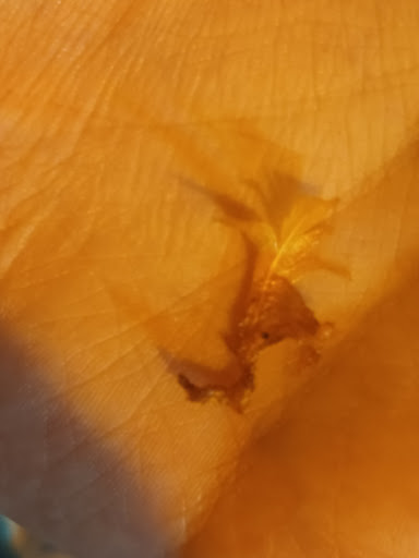 Photo of My Big Fat Gyros - 4989 Chatterton Rd, Columbus, OH 43232