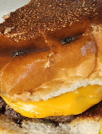 Photo of Paul's Deli & Neighborhood Restaurant - 4345 New Town Ave STE 100, Williamsburg, VA 23188