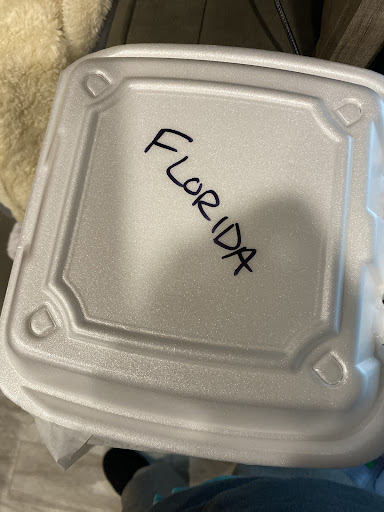 Photo of Paul's Deli Restaurant - 761 Scotland St, Williamsburg, VA 23185