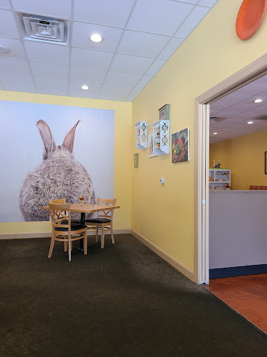 Photo of Carrot Tree Kitchens - 1303 Jamestown Rd, Williamsburg, VA 23185