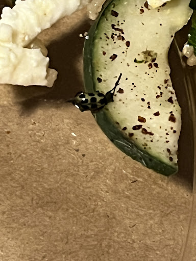 Photo of mezeh - 348 E Calder Way, State College, PA 16801