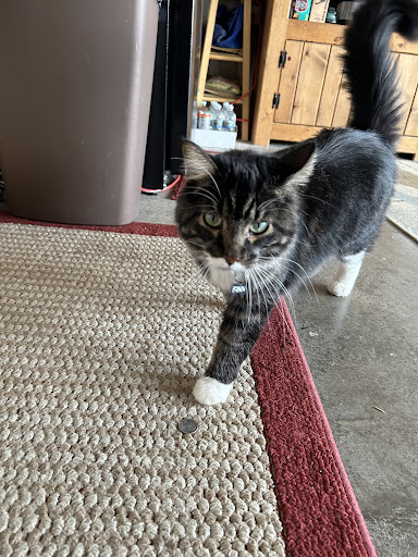 Photo of Shar's Bar & Grill - 2818 28th St W, Williston, ND 58801