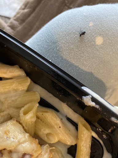 Photo of Applebee's Grill + Bar - 6 26th St W, Williston, ND 58801