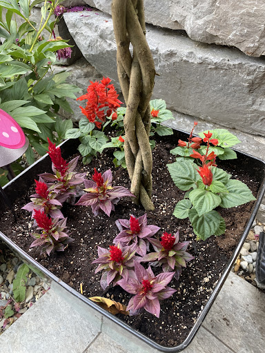 Photo of Park Café - 2510 W 5th St, Wilmington, DE 19805