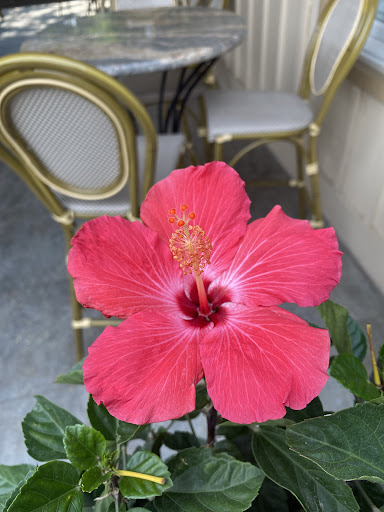 Photo of Park Café - 2510 W 5th St, Wilmington, DE 19805