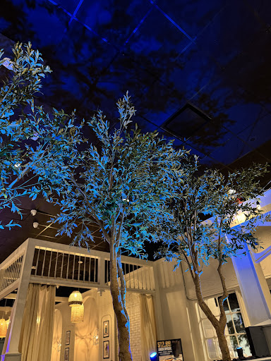 Photo of Acropolis Greek Taverna - Orlando - 390 N Orange Ave Suite 110, Orlando, FL 32801