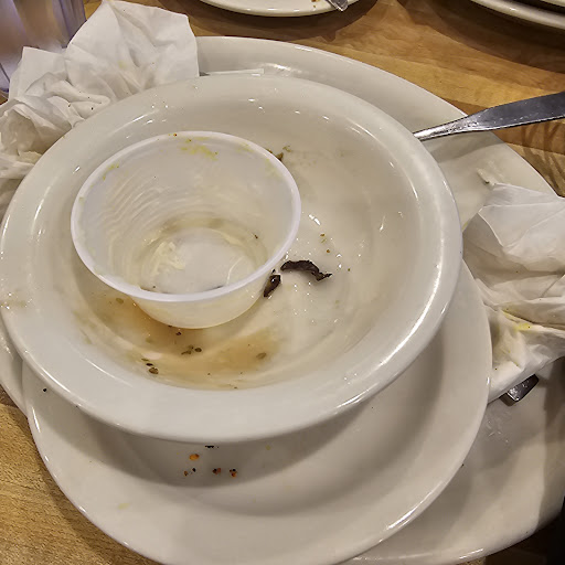 Photo of Olga's Kitchen - 23404 Allen Rd, Woodhaven, MI 48183