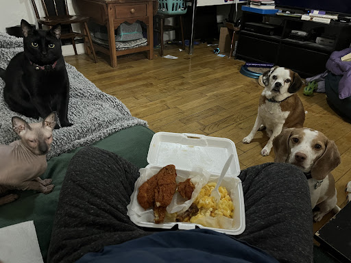 Photo of Addie Lee's Soul Food - 596 Main St, Worcester, MA 01608