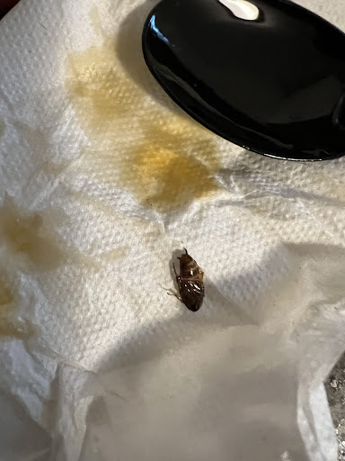 Photo of Anokye Krom - 687 Millbury St, Worcester, MA 01607