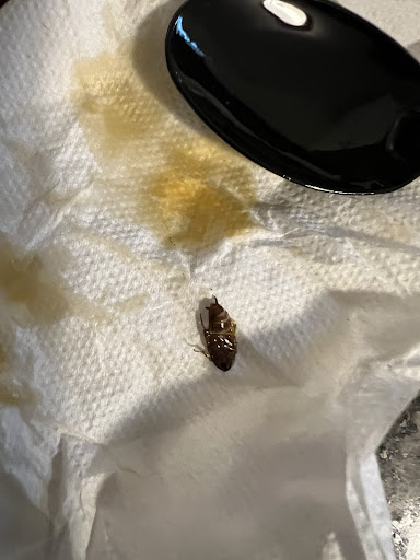 Photo of Anokye Krom - 687 Millbury St, Worcester, MA 01607