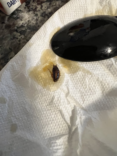 Photo of Anokye Krom - 687 Millbury St, Worcester, MA 01607