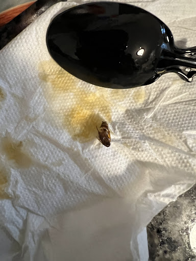 Photo of Anokye Krom - 687 Millbury St, Worcester, MA 01607