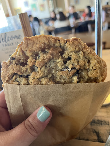 Photo of BirchTree Bread Company - 138 Green St #5, Worcester, MA 01604