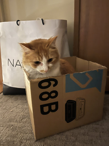 Photo of Ziggy bombs - 72-78 Franklin St, Worcester, MA 01608