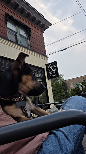 Photo of Živio - 724 Wealthy St SE, Grand Rapids, MI 49503