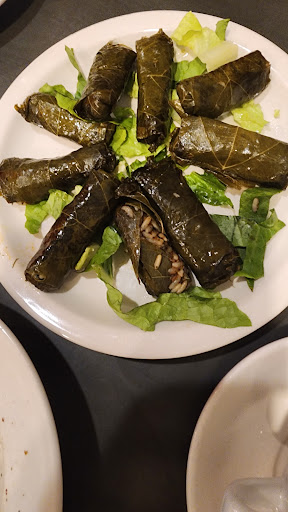 Photo of Nidal’s Shawarma King - 1441 S Drake Rd, Kalamazoo, MI 49006