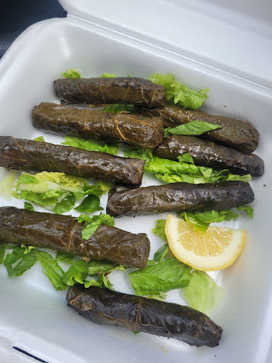 Photo of Shawarma Station - 1507 E Chicago Rd, Sturgis, MI 49091