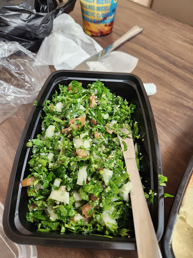 Photo of Shawarma Station - 64 E Chicago St, Coldwater, MI 49036