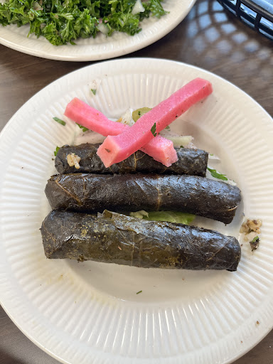 Photo of Shawarma Station - 64 E Chicago St, Coldwater, MI 49036