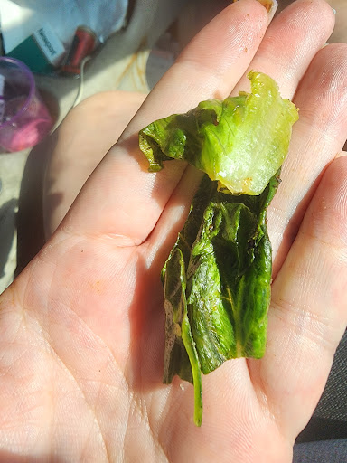 Photo of Taziki's Mediterranean Cafe - Jacksonville - Beach Blvd - 14035 Beach Blvd Ste 8, Jacksonville, FL 32250